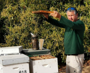 דורון ליבנה יור ארגון מגדלי הדבורים בישראל 